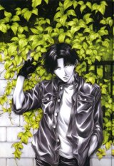 BUY NEW wild adapter - 84949 Premium Anime Print Poster